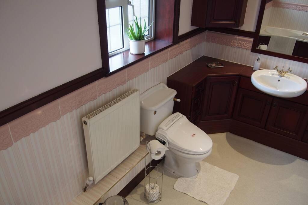 Hectors House Comfortable 4 Bed House In Mature Gardens Yelverton Zewnętrze zdjęcie
