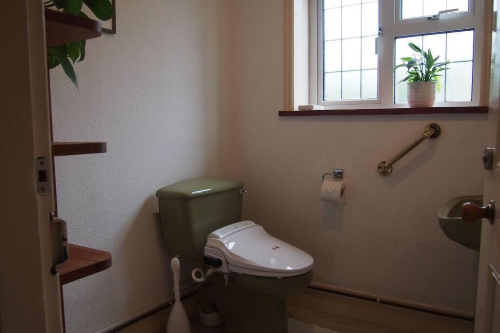 Hectors House Comfortable 4 Bed House In Mature Gardens Yelverton Zewnętrze zdjęcie